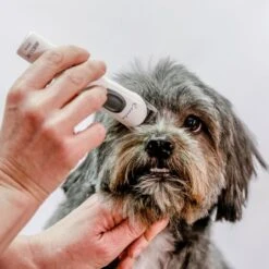 Aesculap Aesculap Exacta Cordless Trimmer -Clippers Shop aesculap exacta cordless trimmer p35 14419 medium