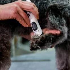 Aesculap Aesculap Exacta Cordless Trimmer -Clippers Shop aesculap exacta cordless trimmer p35 14420 medium