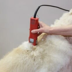 Aesculap Aesculap Favorita Speed Corded Clipper -Clippers Shop aesculap favorita speed corded clipper p3268 12782 medium