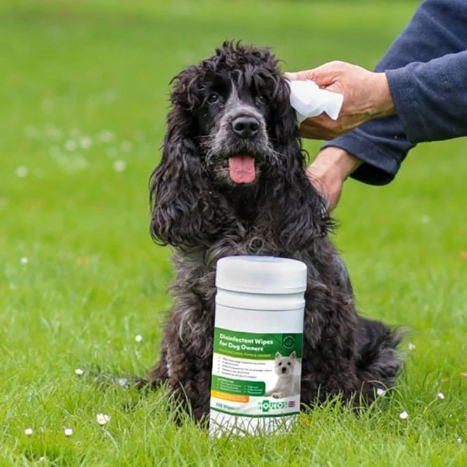 Aqueos Aqueos Disinfectant Wipes 2 Aqueos Aqueos Disinfectant Wipes - Image 2