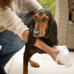 Aqueos Aqueos Disinfectant Wipes 9 Aqueos Aqueos Disinfectant Wipes -Clippers Shop aqueos disinfectant wipes p1179 14369 medium