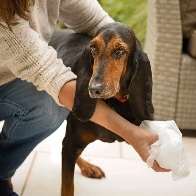 Aqueos Aqueos Disinfectant Wipes 5 Aqueos Aqueos Disinfectant Wipes - Image 5