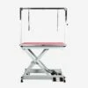 Groomers Groomers Metro II Extreme Standard Electric Table - White Frame