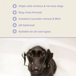 Groomers PerformanceGroomers Performance Calming Shampoo -Clippers Shop groomers performance calming shampoo p17789 13787 medium