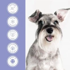 Groomers PerformanceGroomers Performance Calming Shampoo -Clippers Shop groomers performance calming shampoo p17789 13788 medium