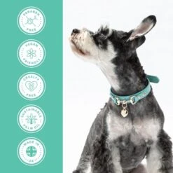 Groomers PerformanceGroomers Performance Medicated Shampoo -Clippers Shop groomers performance medicated shampoo p17788 13779 medium