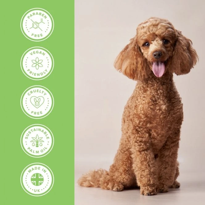 Groomers PerformanceGroomers Performance Scissoring Shampoo 4 Groomers PerformanceGroomers Performance Scissoring Shampoo - Image 4