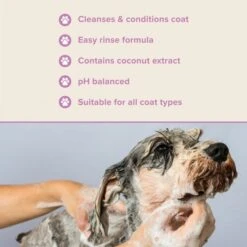 Groomers PerformanceGroomers Performance Shine Shampoo -Clippers Shop groomers performance shine shampoo p17784 13766 medium