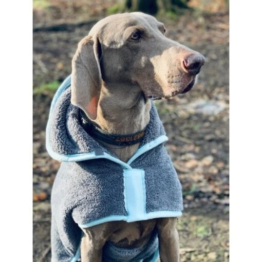 Henry Wag Henry Wag Drying Coat -Clippers Shop henry wag drying coat p15568 9894 medium