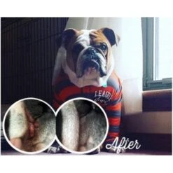 Clippers Shop -Clippers Shop natural dog company wrinkle balm p2675 3776 medium