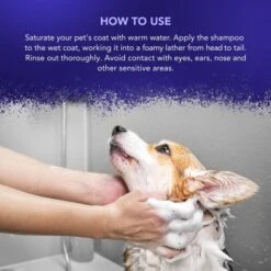 Wahl Wahl Diamond White Shampoo -Clippers Shop wahl diamond white shampoo p3796 13463 medium